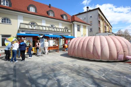 DAN BREZ ALKOHOLA 08 FOTO LJUBO VUKELIČ